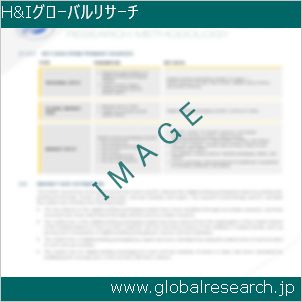 グローバルリサーチ調査レポートのイメージ